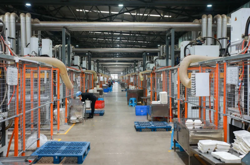 Bagasse pulp molding — bagasse fiber pulp molding production line for eco-friendly tableware